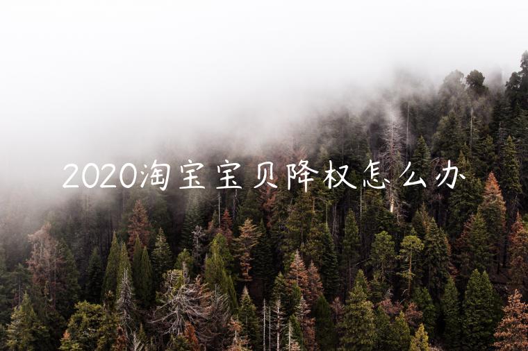 2020淘寶寶貝降權(quán)怎么辦